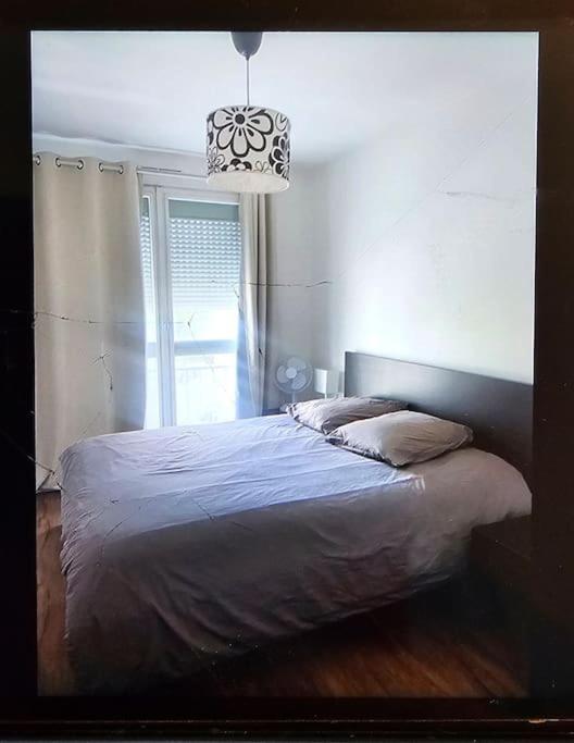 Chez Pascal Sissi -Grand Appart,Ile Nantes, Ccgres Exteriör bild